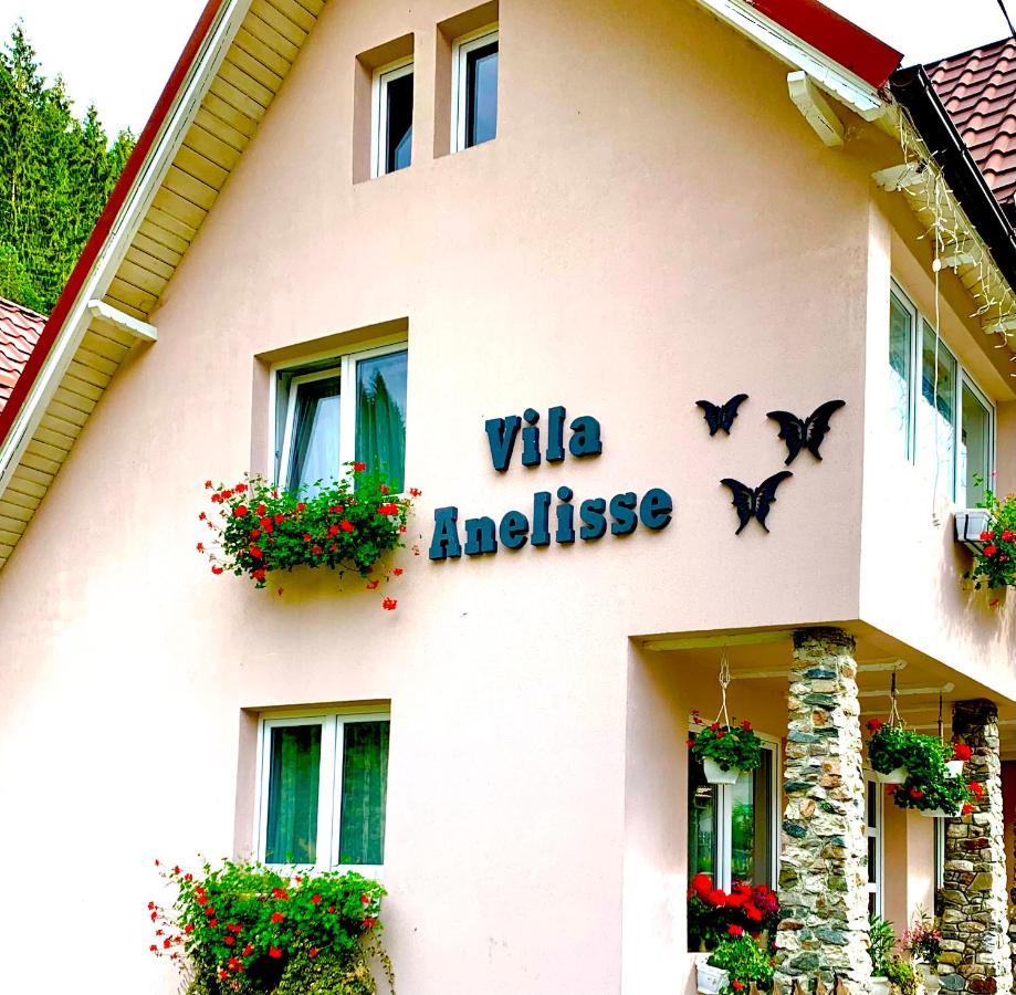 Anelisse Inn Moeciu De Sus Dış mekan fotoğraf