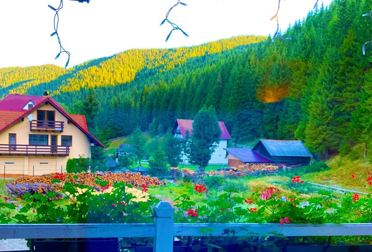 Anelisse Inn Moeciu De Sus Dış mekan fotoğraf