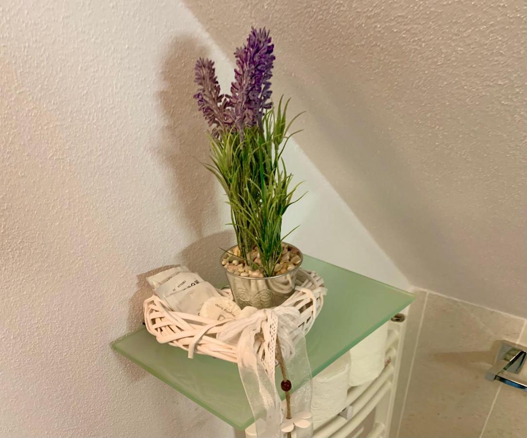 Anelisse Inn Moeciu De Sus Dış mekan fotoğraf