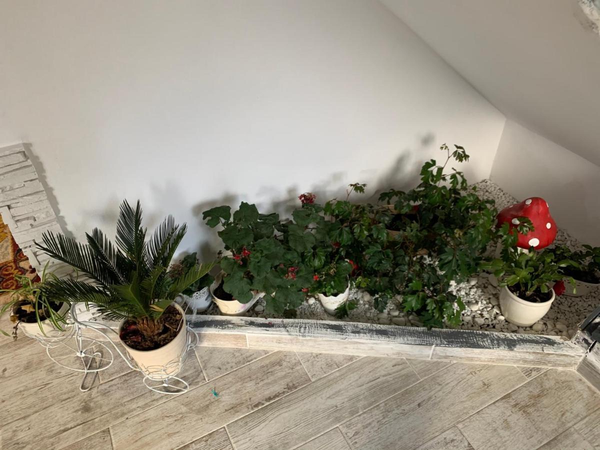 Anelisse Inn Moeciu De Sus Dış mekan fotoğraf
