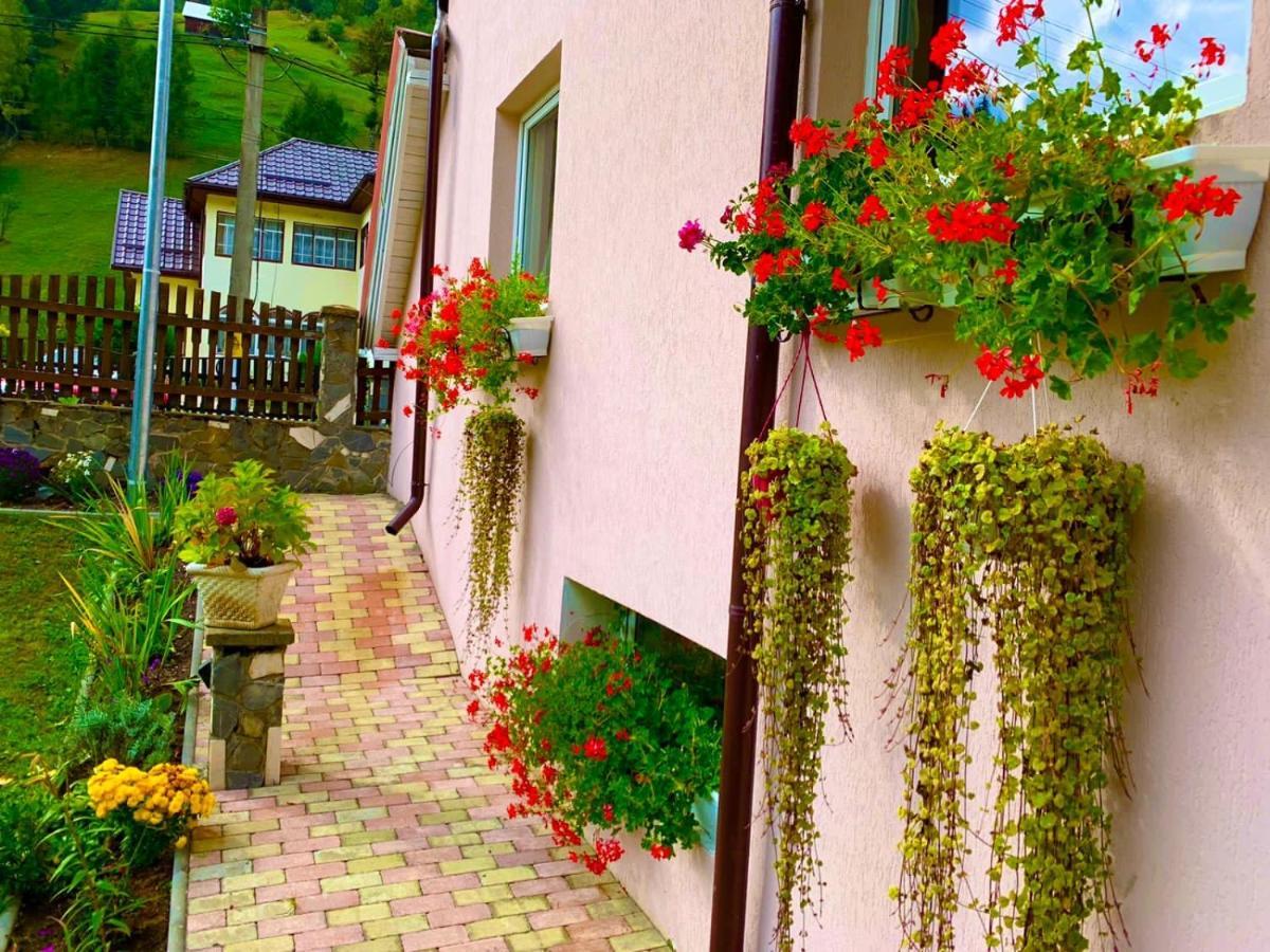 Anelisse Inn Moeciu De Sus Dış mekan fotoğraf
