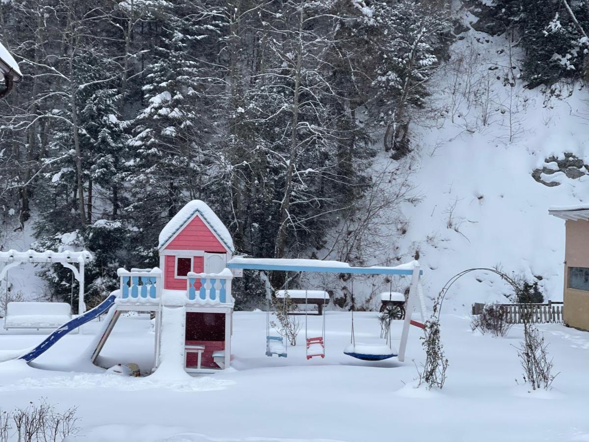 Anelisse Inn Moeciu De Sus Dış mekan fotoğraf