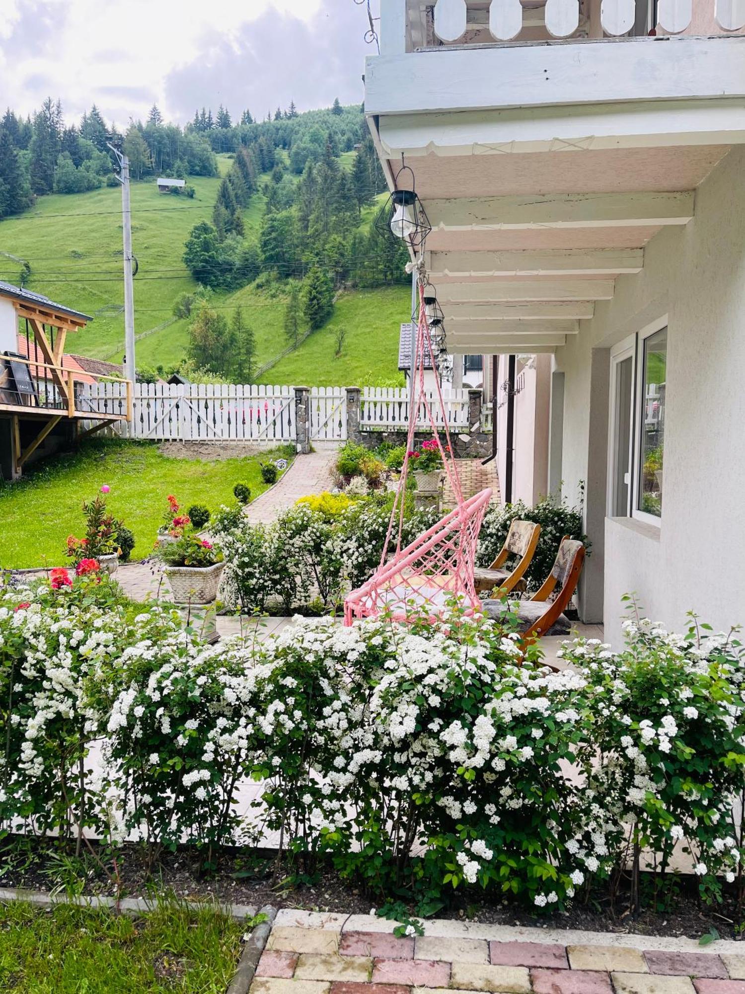 Anelisse Inn Moeciu De Sus Dış mekan fotoğraf